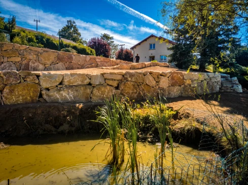 Jardin paysager en terrasses avec murets de pierres naturelles, végétation diversifiée incluant graminées ornementales, vivaces à feuillage argenté, arbustes à fleurs jaunes